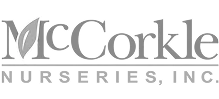 logo-12
